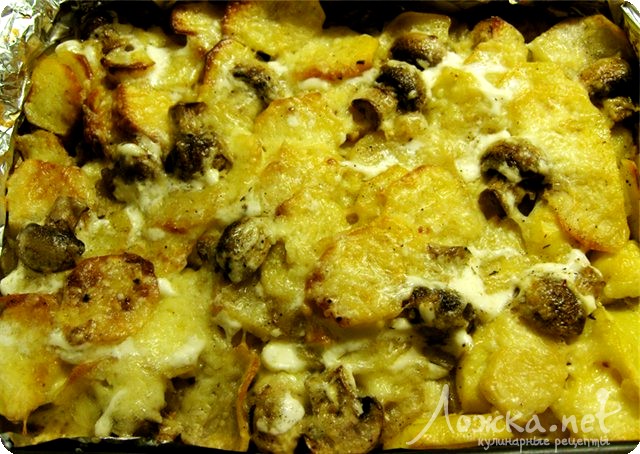 Рецепт - запеченный картофель с грибами в сырном соусе