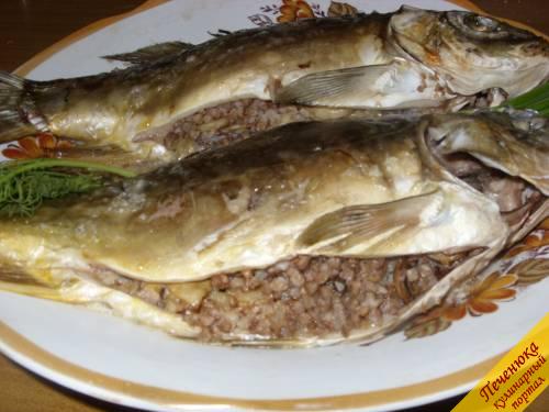 Рецепт - рыба с гречневой кашей и грибами